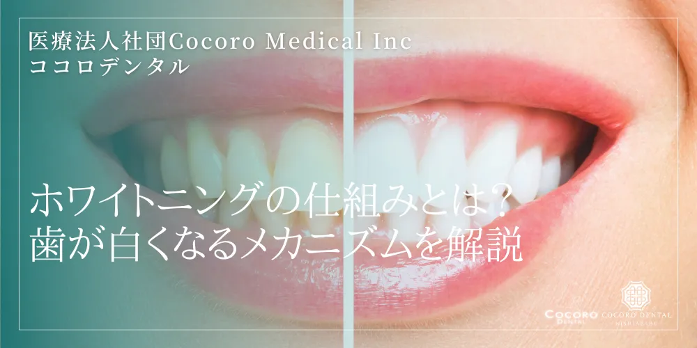 ホワイトニングの仕組みとは?歯が白くなるメカニズムを解説